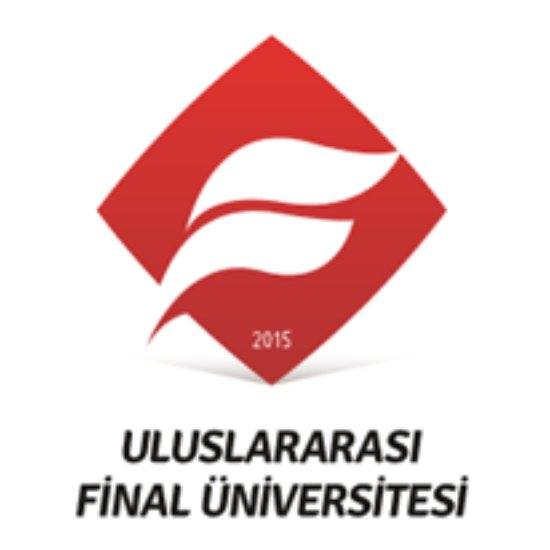 جامعة فاينال الدولية